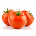 Tomat Konserver